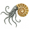 Broche pieuvre avec ammonite fossile