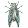 Broche cigale avec nacre abalone