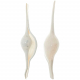 Coquillages volva volva - 8 à 12 cm - Lot de 2