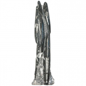 Statue en marbre fossilifère d'orthocéras - 36 cm - 2.68 kg
