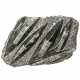 Plaque en marbre fossilifère d'orthocéras - 28 x 17 cm - 2.88 kg