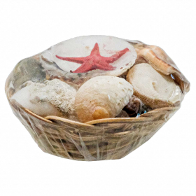 Mini paniers de coquillages assortis - 5 cm - Lot de 5