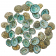 Coquillages patelles vertes - 2 à 2.5 cm - Lot de 5
