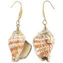Boucles d'oreilles coquillage luhuanus doré