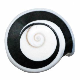 Bague coquillage noir et blanc oeil de shiva