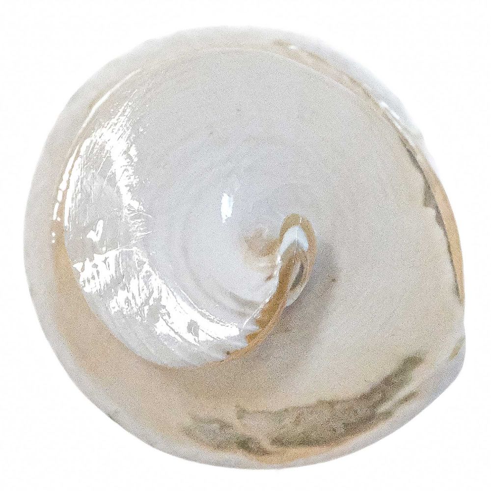 Bague Artisanale En Coquillage Naturel - Bijou Unique Fait Main