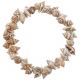 Bracelet avec petits coquillages