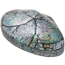 Coffret en nacre abalone paua