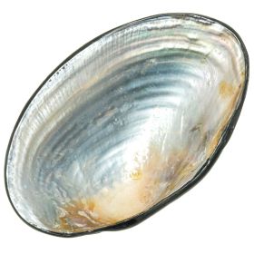 Petit récipient avec coquillage nacré et plaquage nacre abalone paua