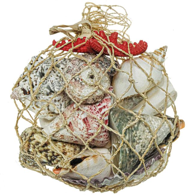 Petit filet de coquillages divers et étoile de mer