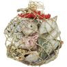 Petit filet de coquillages divers et étoile de mer