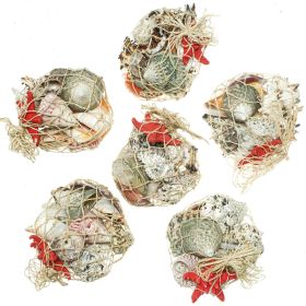 Petit filet de coquillages divers et étoile de mer