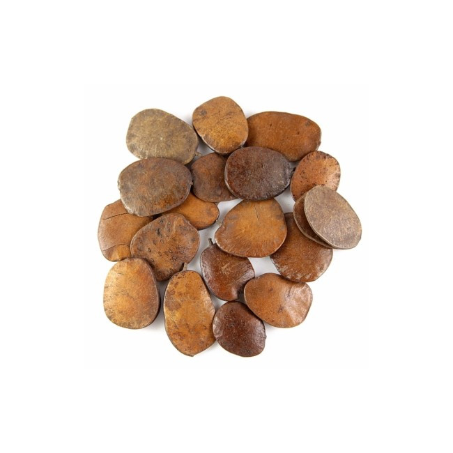 Graines décoratives moeda - 100 grammes
