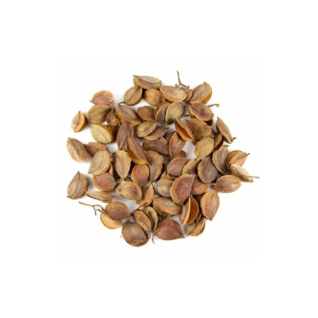 Graines décoratives leaf - 100 grammes