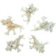 Coquillages murex zamboi - 3 à 4 cm - A l'unité