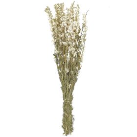 Bouquet fleurs séchées delphinium blanc - 60 cm