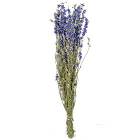 Bouquet fleurs séchées delphinium bleu - 60 cm