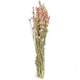 Bouquet fleurs séchées delphinium rose - 60 cm