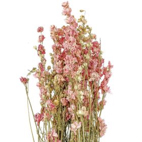 Bouquet fleurs séchées delphinium rose - 60 cm