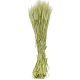 Bouquet d'orge - 70 cm