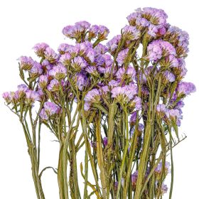 Bouquet de fleurs séchées statice sinuata lilas clair - 45 cm