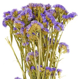 Bouquet de fleurs séchées statice sinuata violet - 45 cm
