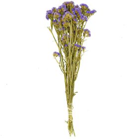 Bouquet de fleurs séchées statice sinuata violet - 45 cm