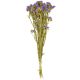 Bouquet de fleurs séchées statice sinuata violet - 45 cm