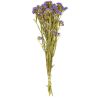Bouquet de fleurs séchées statice sinuata violet - 45 cm