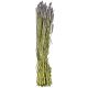 Bouquet séché de blé triticum pourpre - 70 cm