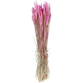 Bouquet séché de blé triticum rose - 70 cm