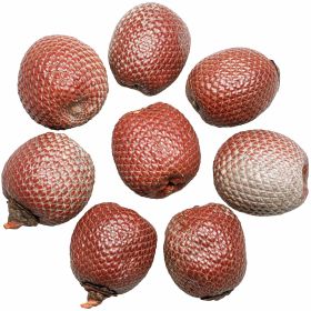 Fruits séchés déco salak peau de serpent - Lot de 5