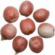 Fruits séchés déco salak peau de serpent - Lot de 5