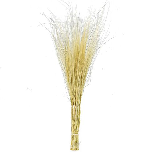 Bouquet de stipa penata - 50 cm