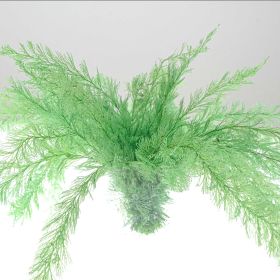 Bouquet de sertularia argentea stabilisée 