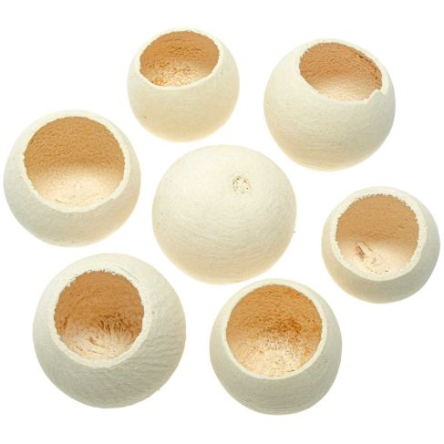 Coques décoratives bell cup blanchies - 5 à 6 cm- Lot de 5