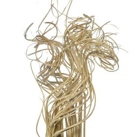 Branches curly ting ting - 70 cm