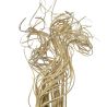 Branches curly ting ting - 70 cm