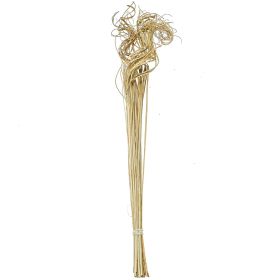 Branches curly ting ting - 70 cm