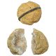 Petite géode de quartz entière et déjà cassée géodinos - 4 à 5 cm - A l'unité