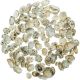 Coquillages patella star - 100 grammes