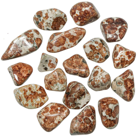 Pierres roulées grenat spessartite en matrice calcaire - 2.5 à 4.5 cm - Lot de 2