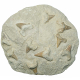 Dents de requins fossilisées sur gangue - 25 x 23 cm - 5.2 kg