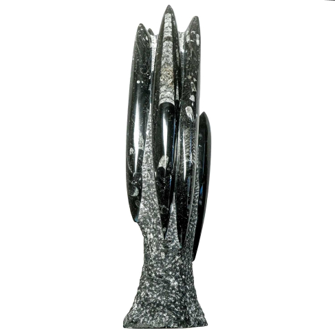 Statue en marbre fossilifère d'orthocéras - 36 cm - 3.18 kg