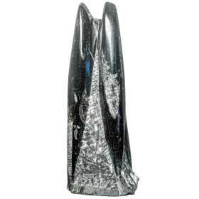 Statue en marbre fossilifère d'orthocéras - 18 cm - 836 grammes