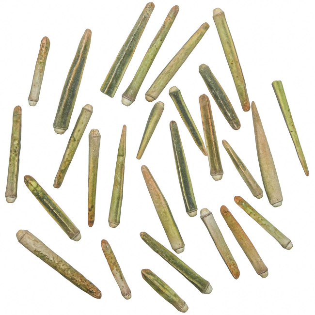 Epines d'oursin vert - Lot de 25