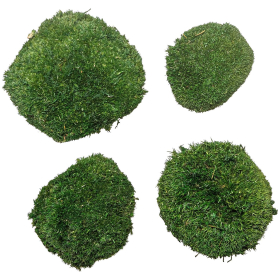 Mousse naturelle stabilisée forme arrondie  - Vert foncé - Lot de 4