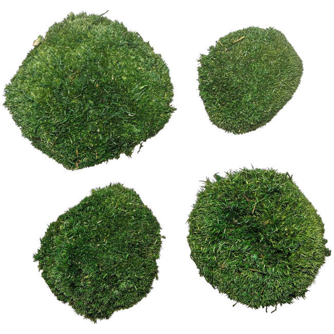 Mousse naturelle stabilisée forme arrondie  - Vert foncé - Lot de 4