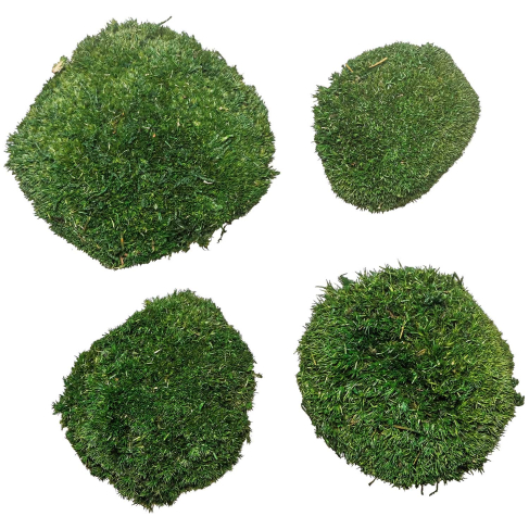 Mousse naturelle stabilisée forme arrondie  - Vert foncé - Lot de 4