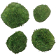 Mousse naturelle stabilisée forme arrondie  - Vert foncé - Lot de 4
